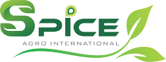 Spice Agro International